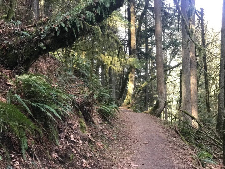 vbgkXTr6SgmkbyoJvV0HXg