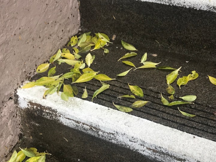 3m664UEqR0Gj8cI79uFSPg